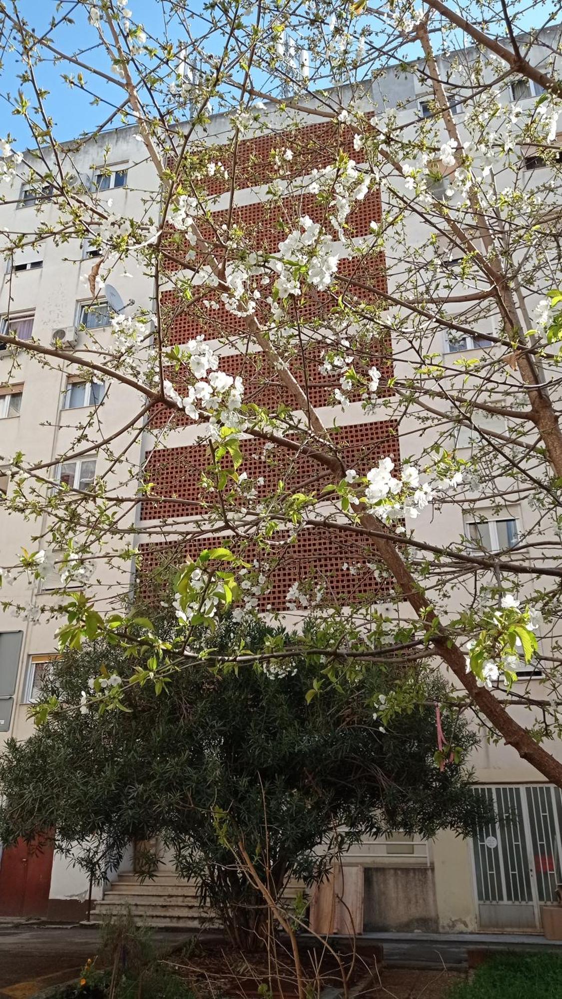 App Letta Sunset Pula Apartman Kültér fotó